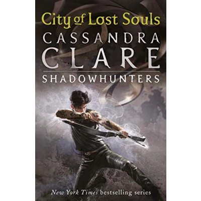 Afbeelding van The Mortal Instruments 05: City of Lost Souls