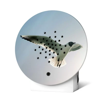 Afbeelding van Relaxound Oceanbox Specials Bewegingssensor Met Zee Geluiden Oplaadbaar Black headed Gull Kokmeeuw 5x10,8x11,5cm Nice thingZ
