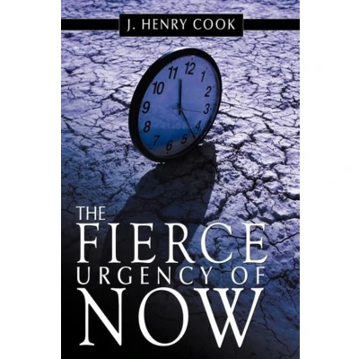 Afbeelding van The Fierce Urgency of Now