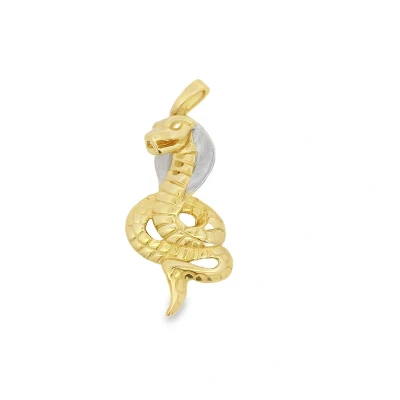 Afbeelding van Juwelier Zwartevalk 14 karaat gouden bicolor cobra hanger