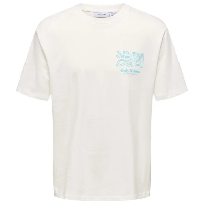Afbeelding van Only &amp; Sons T shirt Onsmountain Logo Rlx Ss Tee Cs 22033553 Cloud Dancer Mannen Maat XXL