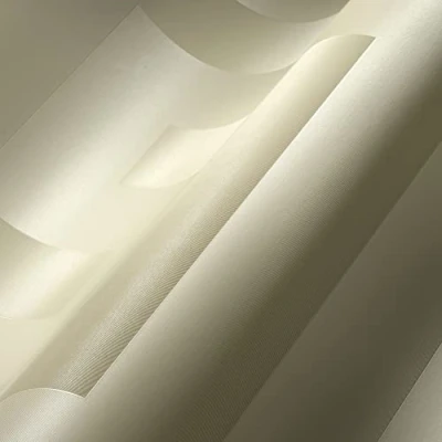 Afbeelding van &quot;GRIEKSE SLEUTEL&quot; SATIJN GLANZEND BEHANG Design wit A.S. Création Versace 5