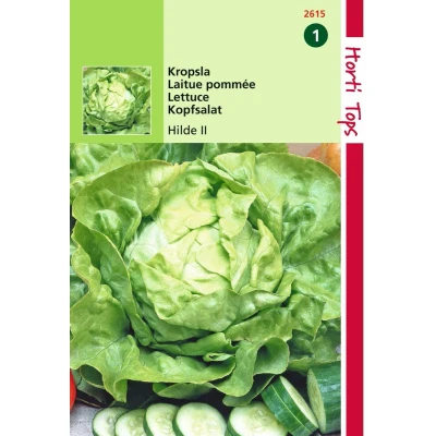Afbeelding van Hortitops 2 stuks Kropsla Hilde, Verb. Attractie