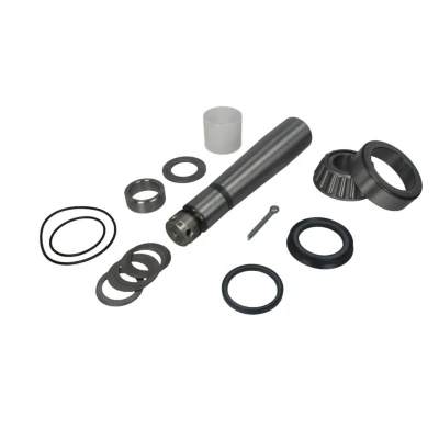 Afbeelding van Febi Bilstein Fuseepen rep.set 09375