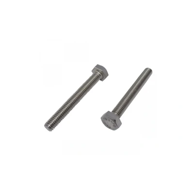 Afbeelding van Zeskantbout M8 x 30 mm DIN 933 RVS A2 SW13 (100 stuks)