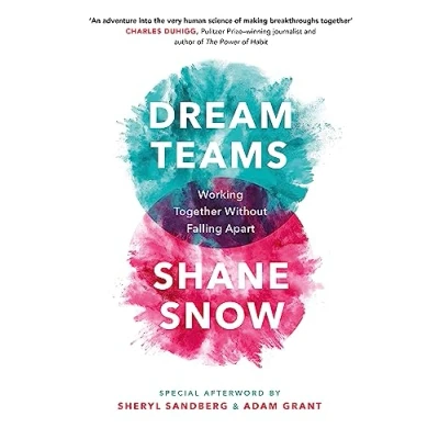 Afbeelding van Dream Teams: Working Together Without Falling Apart