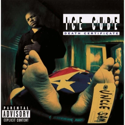 Afbeelding van Ice Cube Death Certificate (LP)