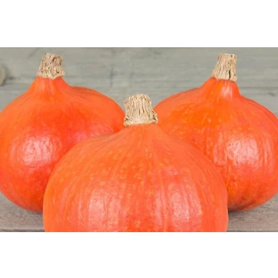 Afbeelding van Pompoen &#039;Fictor&#039; De Bolster (BIO) Hokkaido pompoen, Cucurbita, Pompoenzaden, Eetbaar