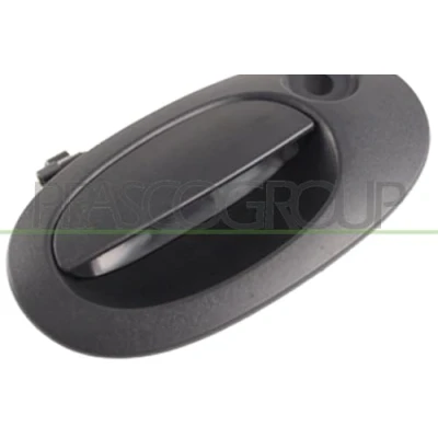 Afbeelding van Portiergreep buitenkant PRASCO DS9178351