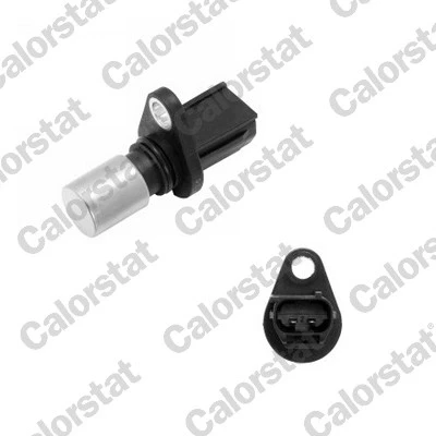 Afbeelding van Calorstat By Vernet Nokkenas positiesensor CS0195