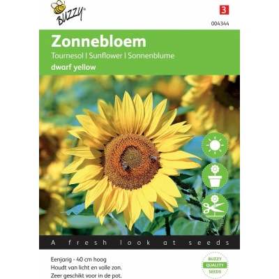 Afbeelding van Zonnebloem Laag Yellow Buzzy