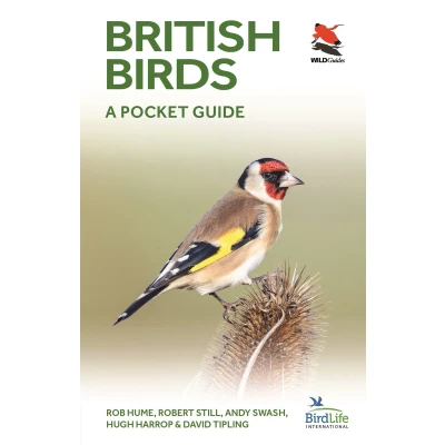 Afbeelding van British Birds: A Pocket Guide: 30