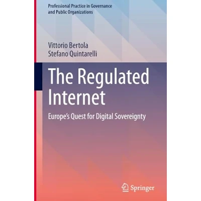 Afbeelding van Professional Practice in Governance and Public Organizations The Regulated Internet