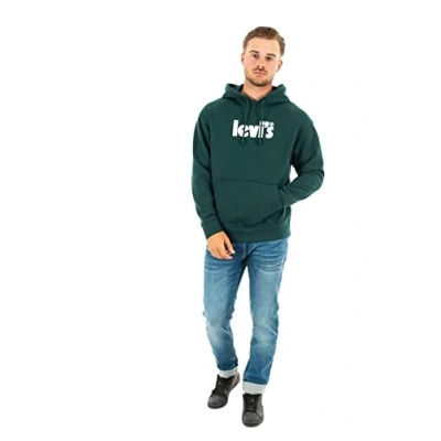 Afbeelding van Levi&#039;s Heren Relaxed Graphic Sweatshirt Hoodie Hoodie, poster ponderosa pine, XS