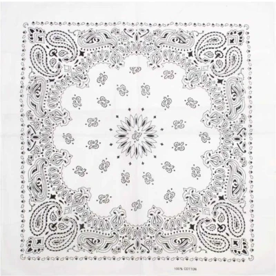 Afbeelding van Zac&#039;s Alter Ego Alternative retro paisley Bandana Wit