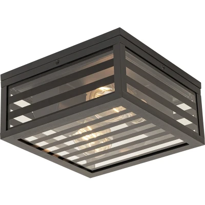 Afbeelding van QAZQA Moderne buiten plafondlamp zwart glas 2 lichts IP44 Reims