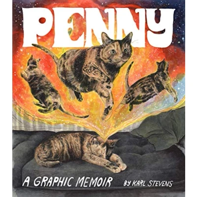 Afbeelding van Penny: A Graphic Memoir
