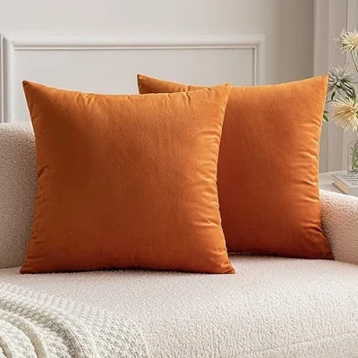 Afbeelding van MIULEE Fluweelzachte, decoratieve kussensloop, kussenslopen, luxueuze kussenslopen voor woonkamer, bank, slaapkamer met onzichtbare rits, vierkant, 50 x cm, 2 stuks, oranje