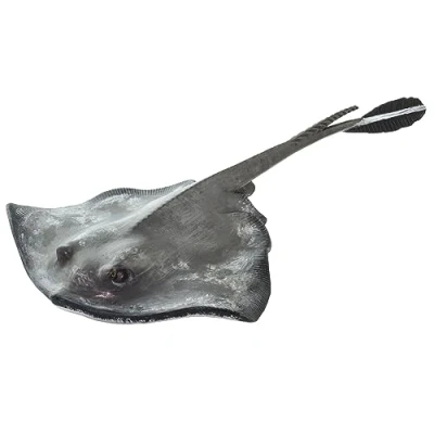 Afbeelding van Safari Ltd 100507 Incredible Creatures Sting Ray