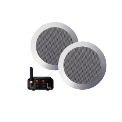 Afbeelding van Bluetooth audiosysteem met twist speaker set (mat chroom) 50 WATT