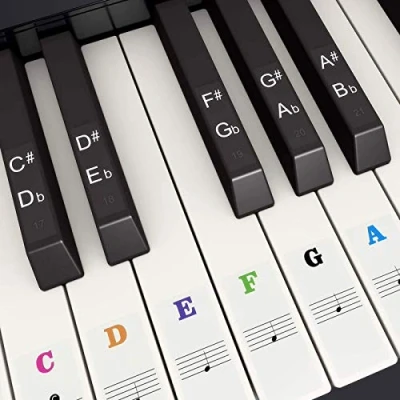 Afbeelding van Piano Keyboard Stickers voor 37/49/54/61/88 Toetsen, Fansjoy Kleurrijke Muziek Elektronische Toetsenbord Opmerking kinderen Beginners, Transparant en Verwijderbaar