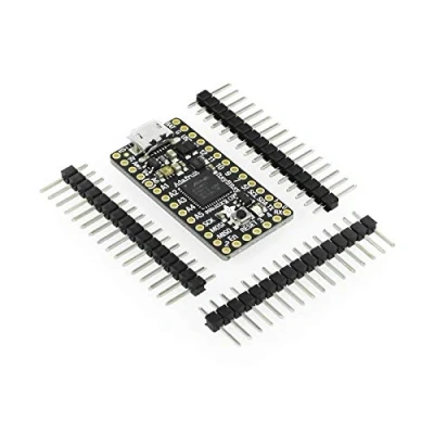 Afbeelding van Adafruit ItsyBitsy M0 Express met CircuitPython &amp; Arduino IDE