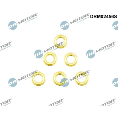 Afbeelding van Brandplaatjes, injectiesysteem Dr.Motor Automotive DRM02456S, voor o.a. BMW, RENAULT, OPEL, FIAT, DACIA, VAUXHALL