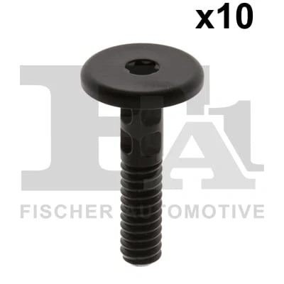 Afbeelding van Schroef FA1 10 70002.10