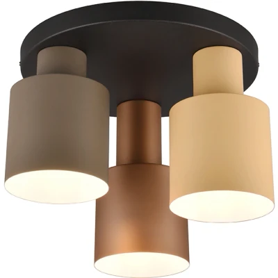 Afbeelding van TRIO Agudo Plafondlamp 3x E27