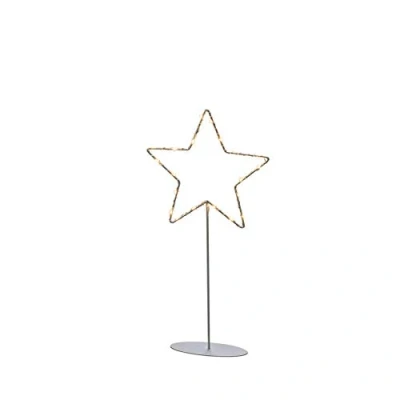 Afbeelding van Kerstster led kerstverlichting binnen 20 lampjes 40 x cm ex