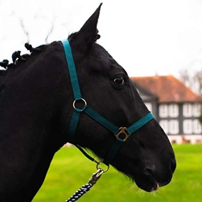 Afbeelding van Halster voor paard, warmbloed, volbloed, koudbloed stalhalter, wilgenhalter, 2 voudig verstelbaar aan kinriem en nekstuk, veilig scheurvast (donkergroen, Mini Shetty)