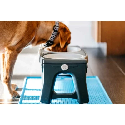 Afbeelding van Dexas Adjustable Height Pet Feeder Light Grey