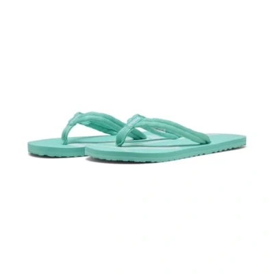 Afbeelding van Puma, Mannen, Flip flop, Epic v2, Groen, (40.5)